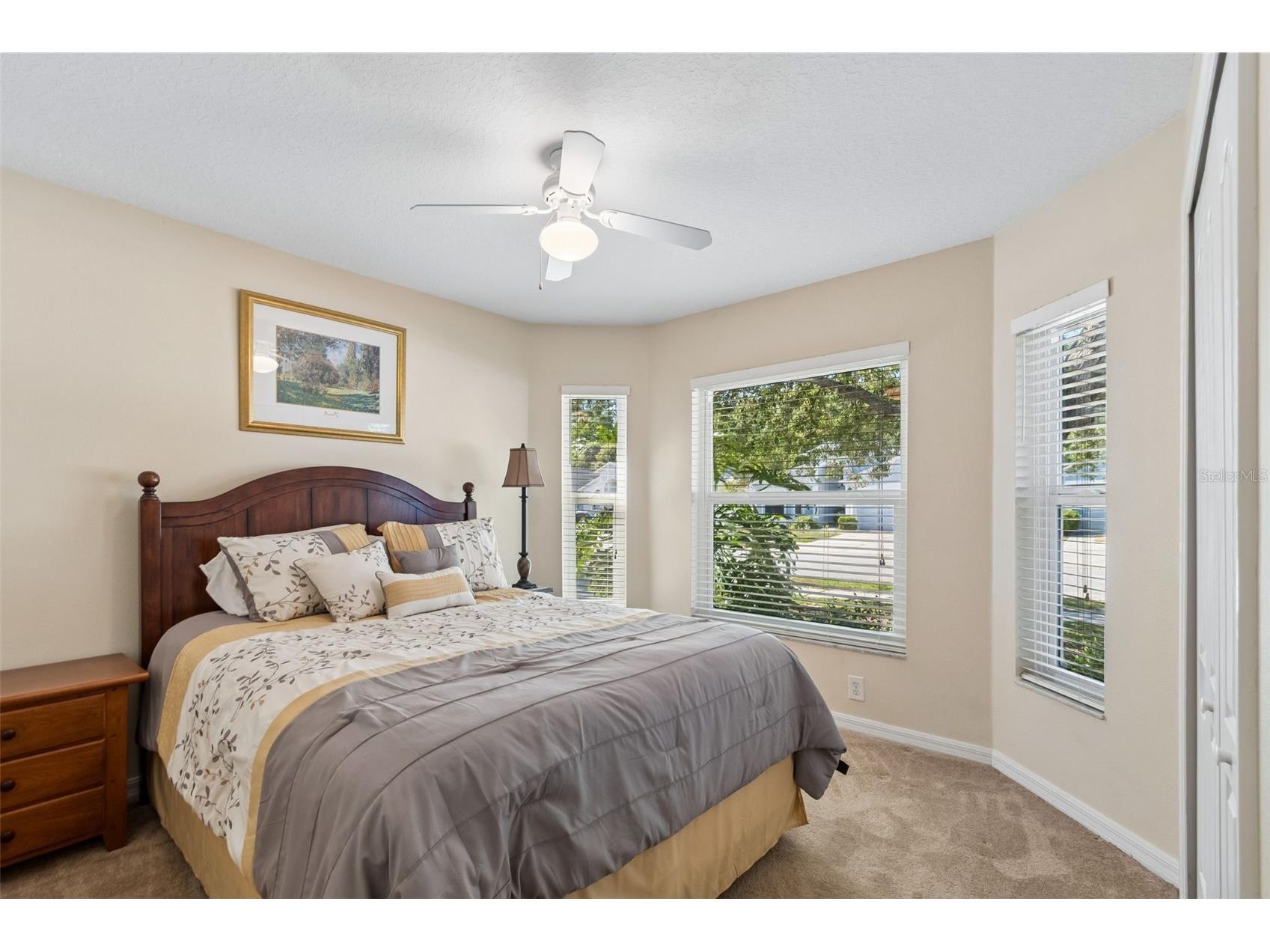 30816 Midtown Court Wesley Chapel FL 33545 TB8504087 image4