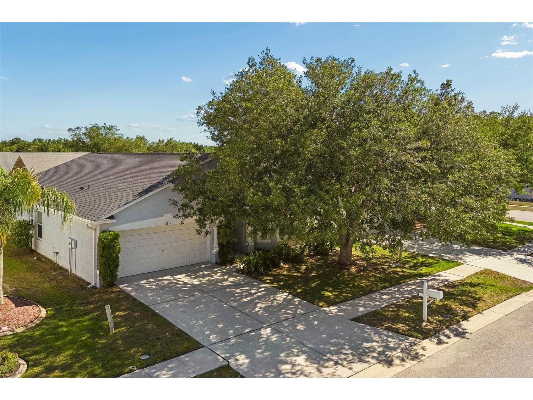 30816 Midtown Court Wesley Chapel FL 33545 TB8504087 image47