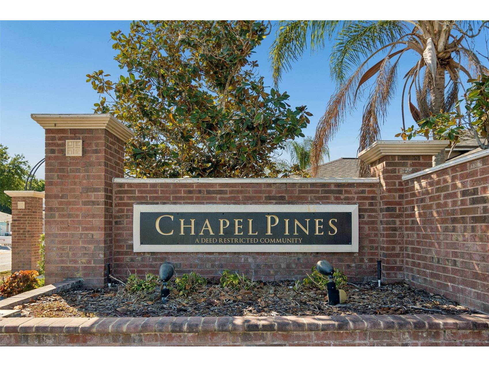 30816 Midtown Court Wesley Chapel FL 33545 TB8504087 image51