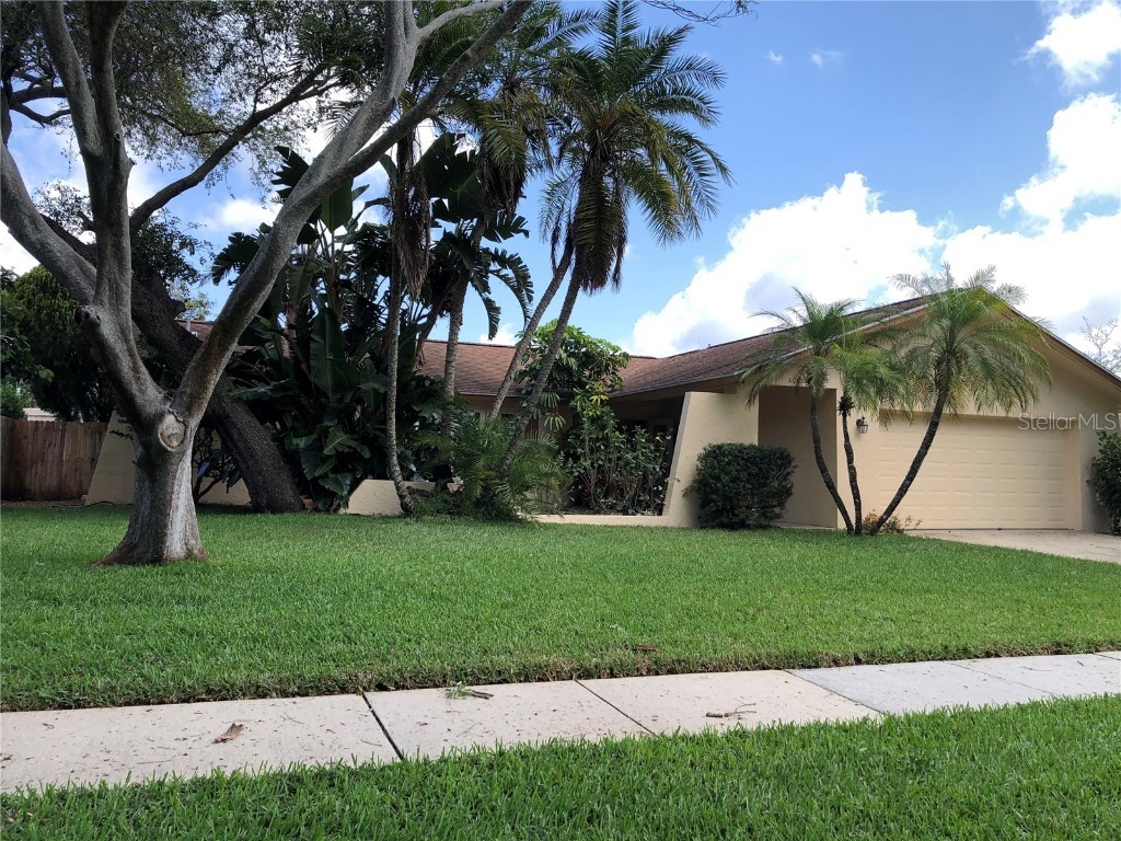 3082 Cascade Drive Clearwater FL 33761 T3491042 image1