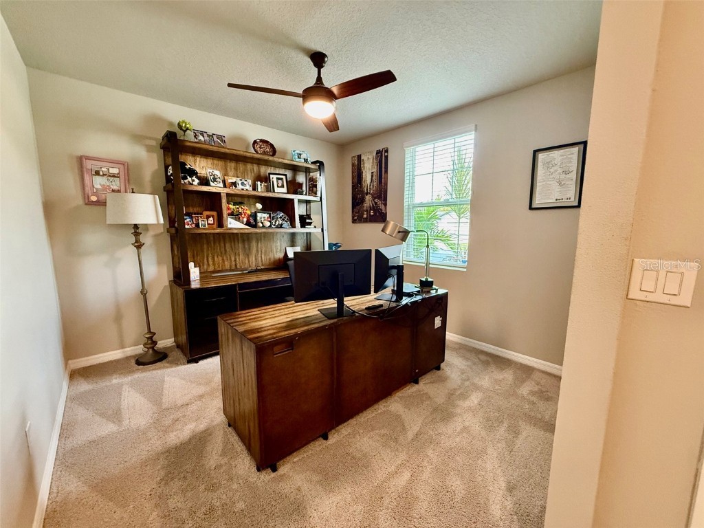 3082 Forrest Plum Court Zephyrhills FL 33540 W7879645 image18