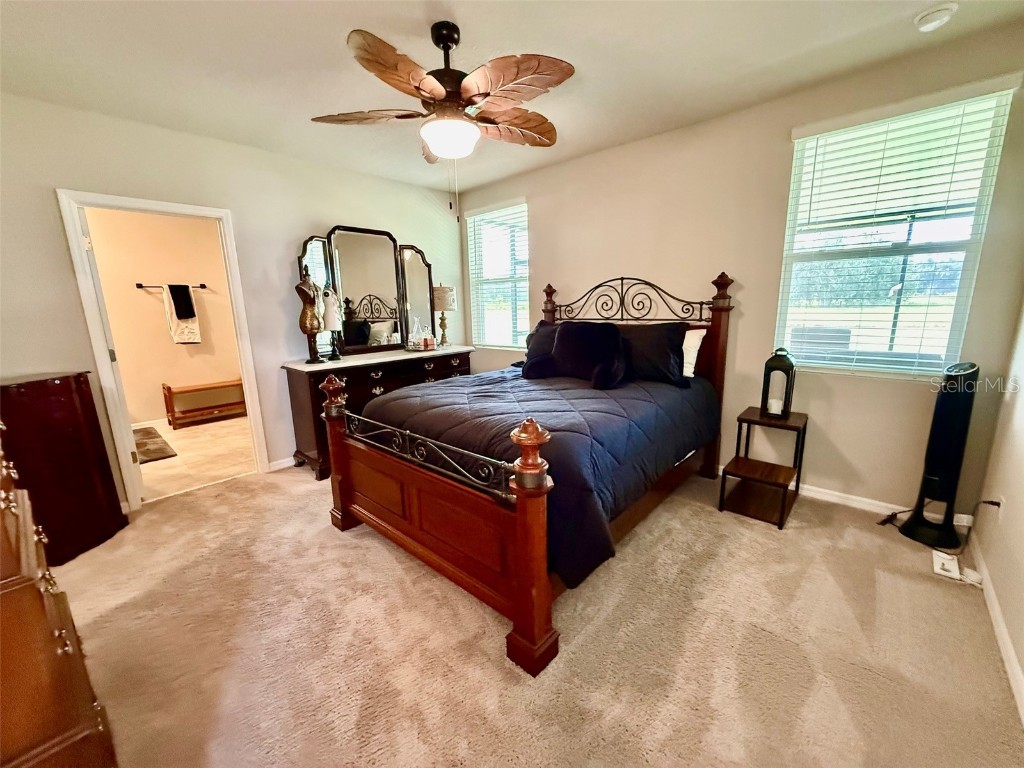 3082 Forrest Plum Court Zephyrhills FL 33540 W7879645 image21