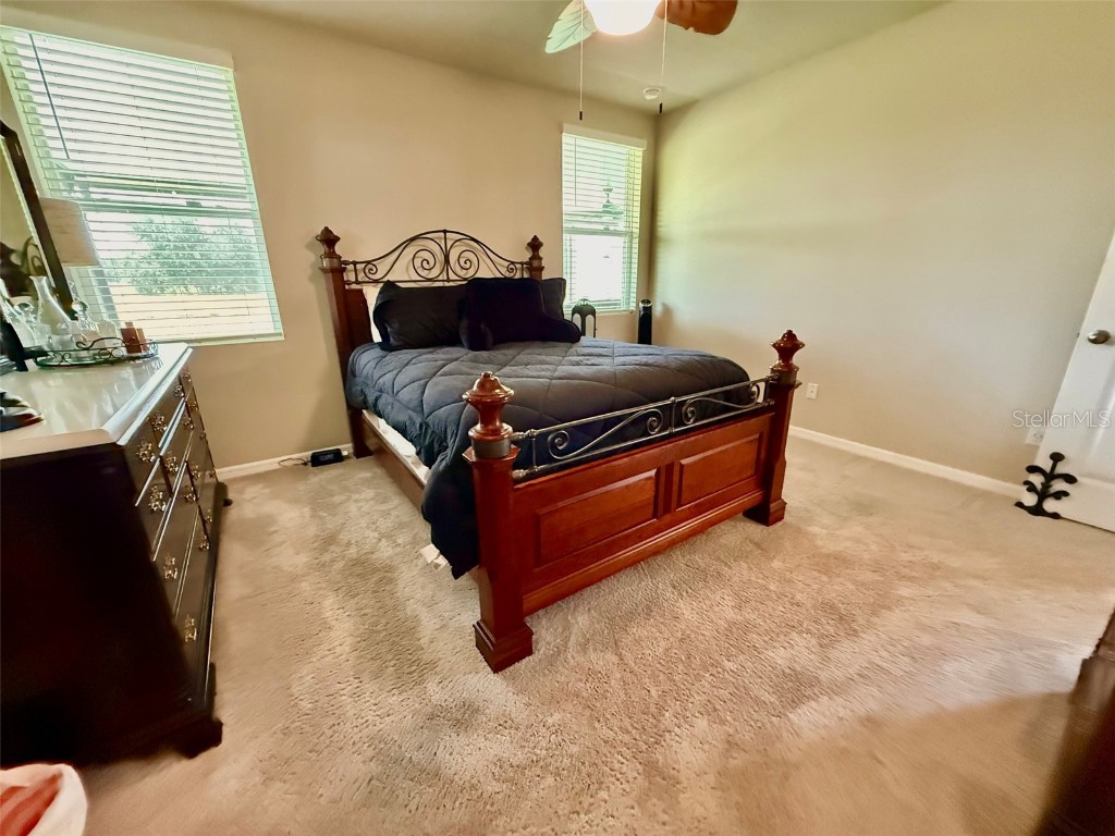 3082 Forrest Plum Court Zephyrhills FL 33540 W7879645 image22