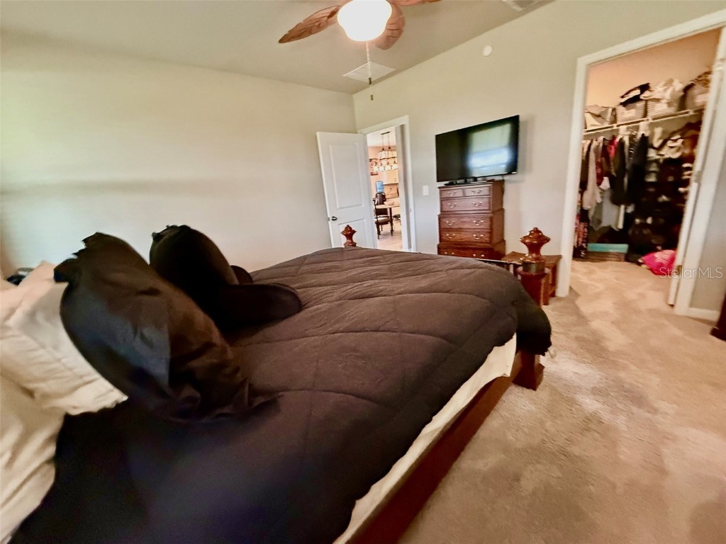 3082 Forrest Plum Court Zephyrhills FL 33540 W7879645 image23