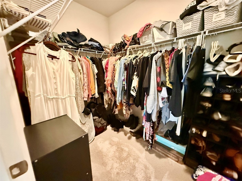 3082 Forrest Plum Court Zephyrhills FL 33540 W7879645 image24