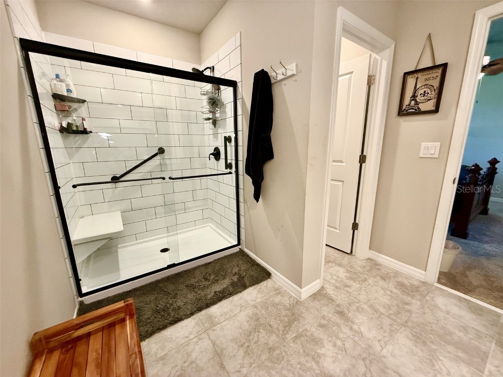 3082 Forrest Plum Court Zephyrhills FL 33540 W7879645 image26