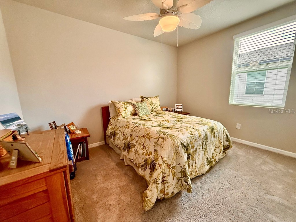 3082 Forrest Plum Court Zephyrhills FL 33540 W7879645 image29