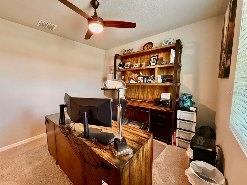 3082 Forrest Plum Court Zephyrhills FL 33540 W7879645 image32