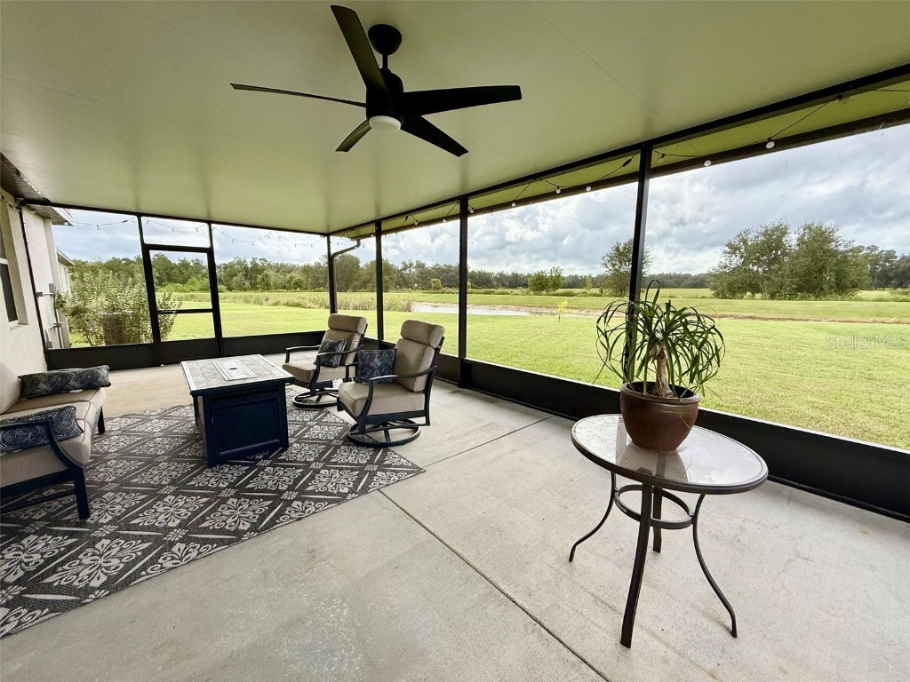 3082 Forrest Plum Court Zephyrhills FL 33540 W7879645 image35