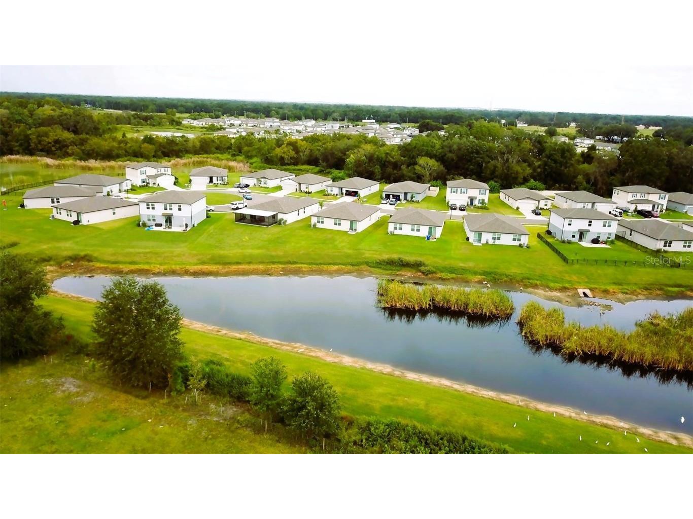 3082 Forrest Plum Court Zephyrhills FL 33540 W7879645 image6