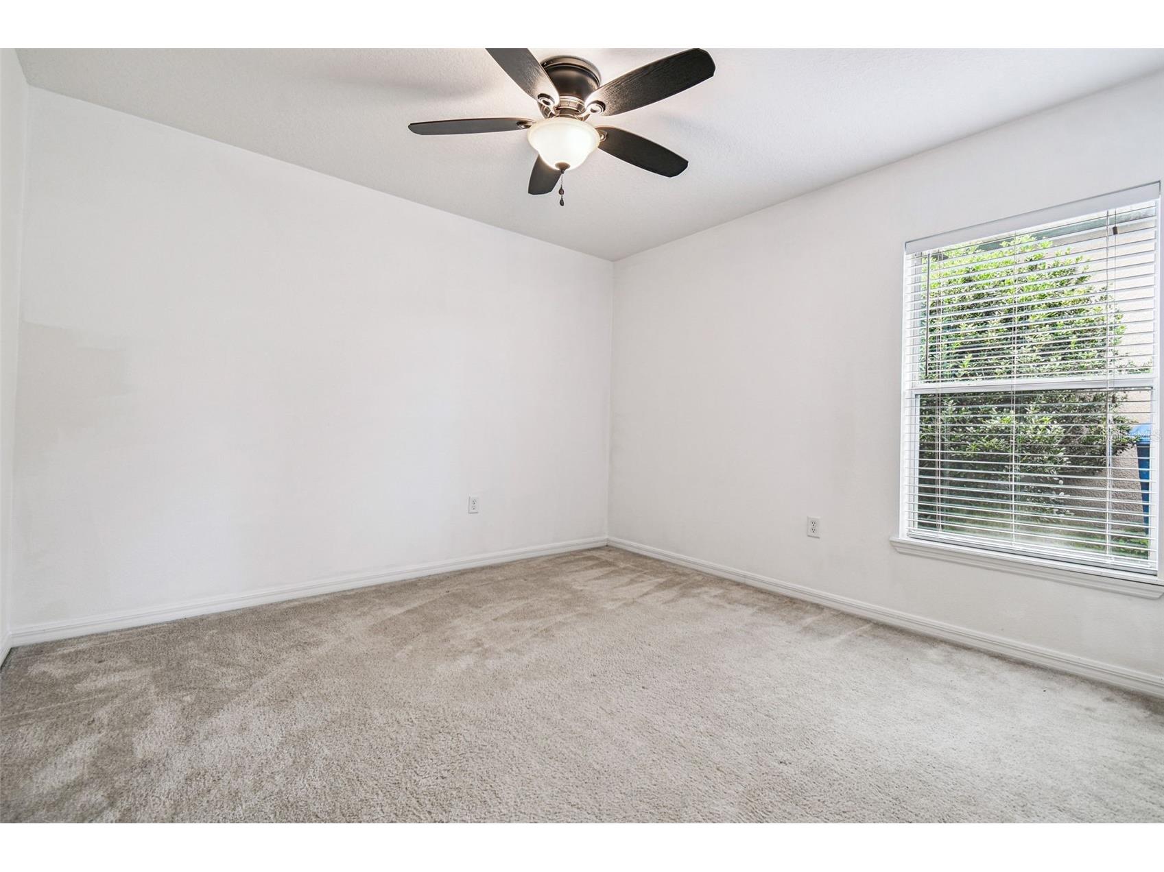 30821 Water Lily Drive Brooksville FL 34602 TB8502423 image24