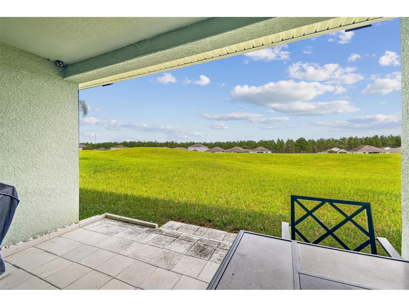 30821 Water Lily Drive Brooksville FL 34602 TB8502423 image33