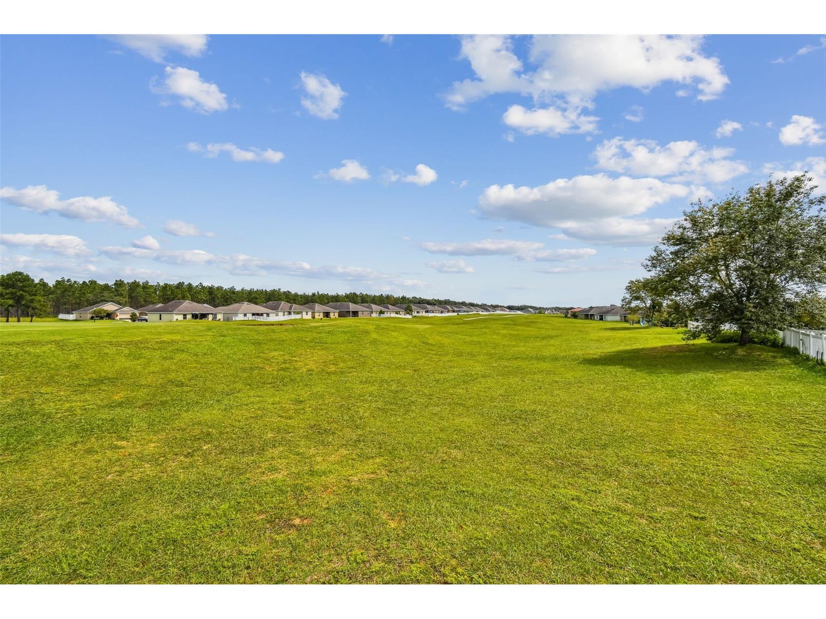 30821 Water Lily Drive Brooksville FL 34602 TB8502423 image42
