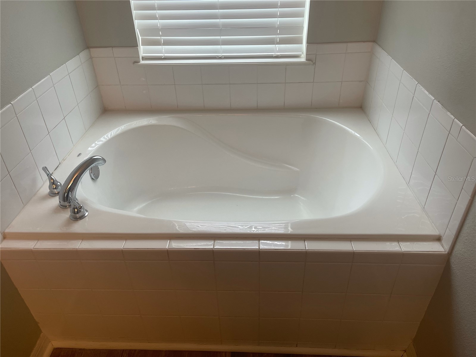 30823 Satinleaf Run Brooksville FL 34602 O6427649 image16