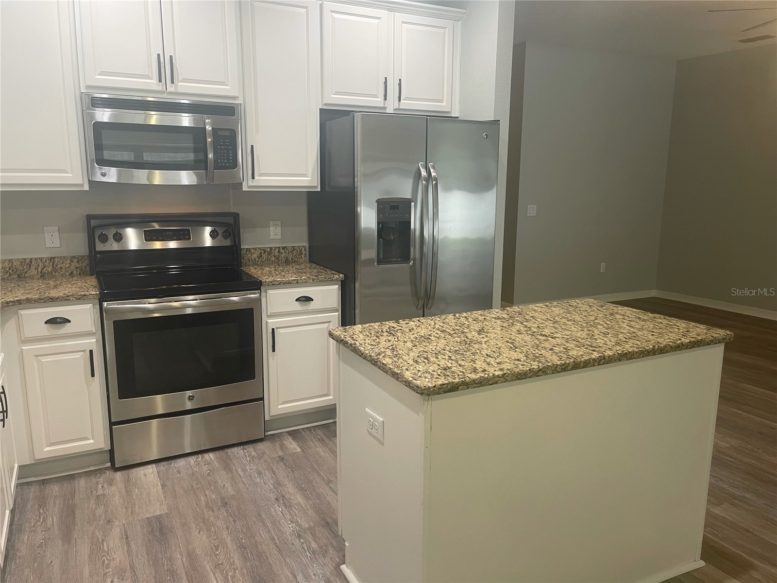 30823 Satinleaf Run Brooksville FL 34602 O6427649 image2
