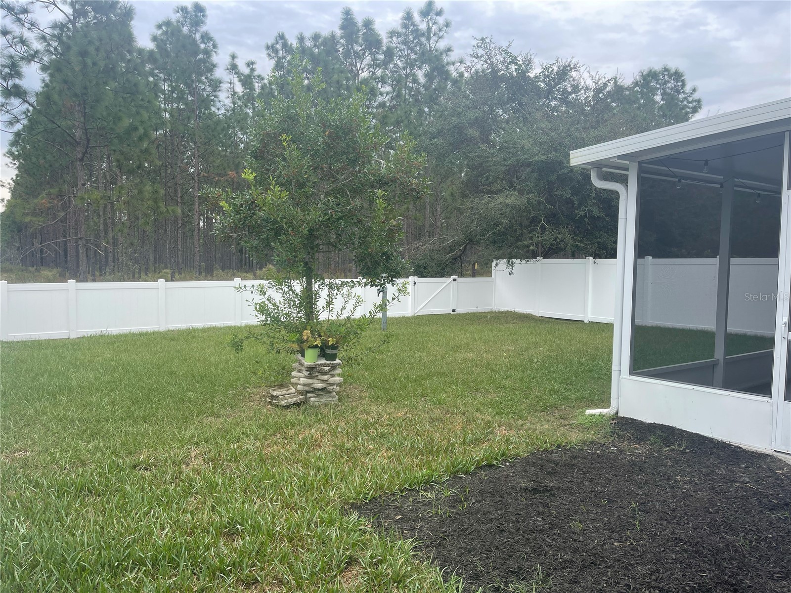 30823 Satinleaf Run Brooksville FL 34602 O6427649 image23