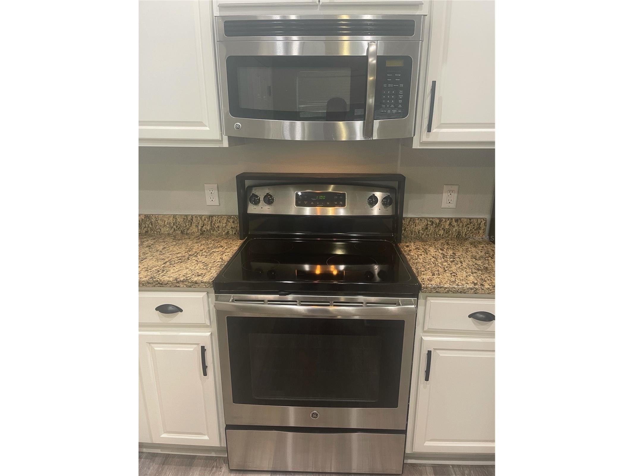 30823 Satinleaf Run Brooksville FL 34602 O6427649 image4
