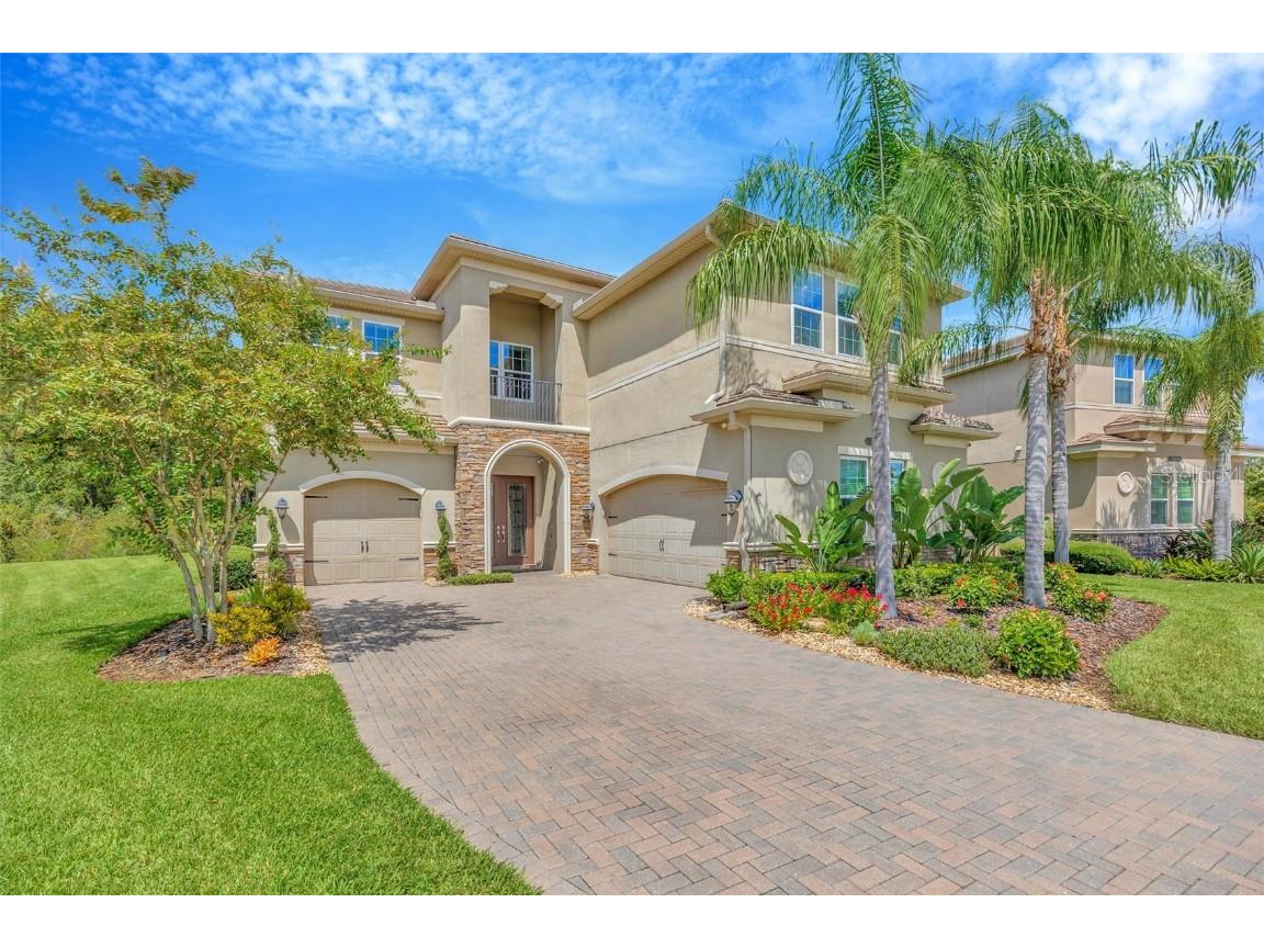 30828 Spruceberry Court Wesley Chapel FL 33543 TB8419719 image1
