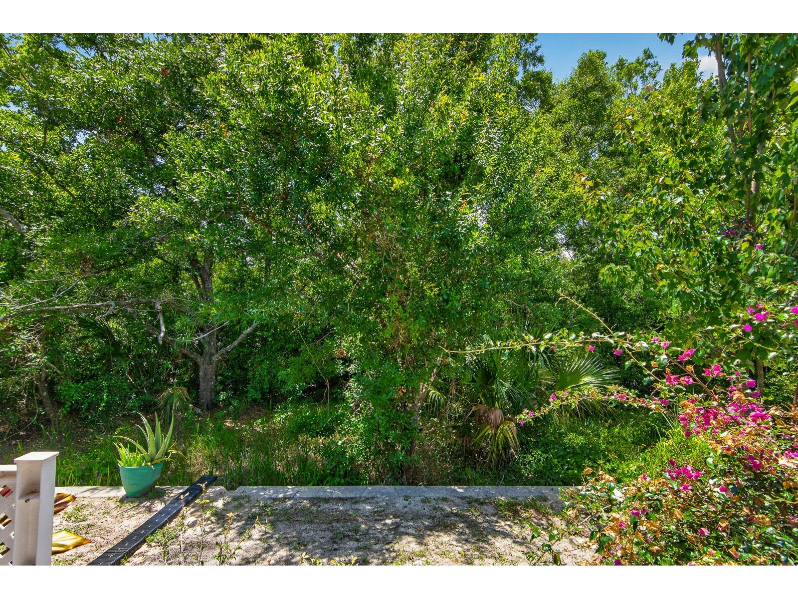 3083 Victoria Inlet Drive Holiday FL 34691 TB8514561 image27