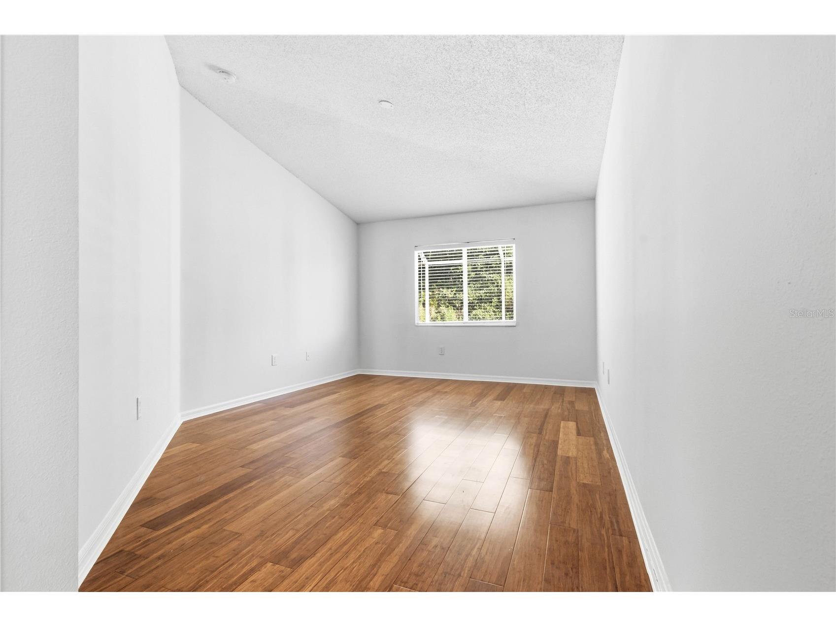 30830 Sade Court Wesley Chapel FL 33545 TB8527756 image12
