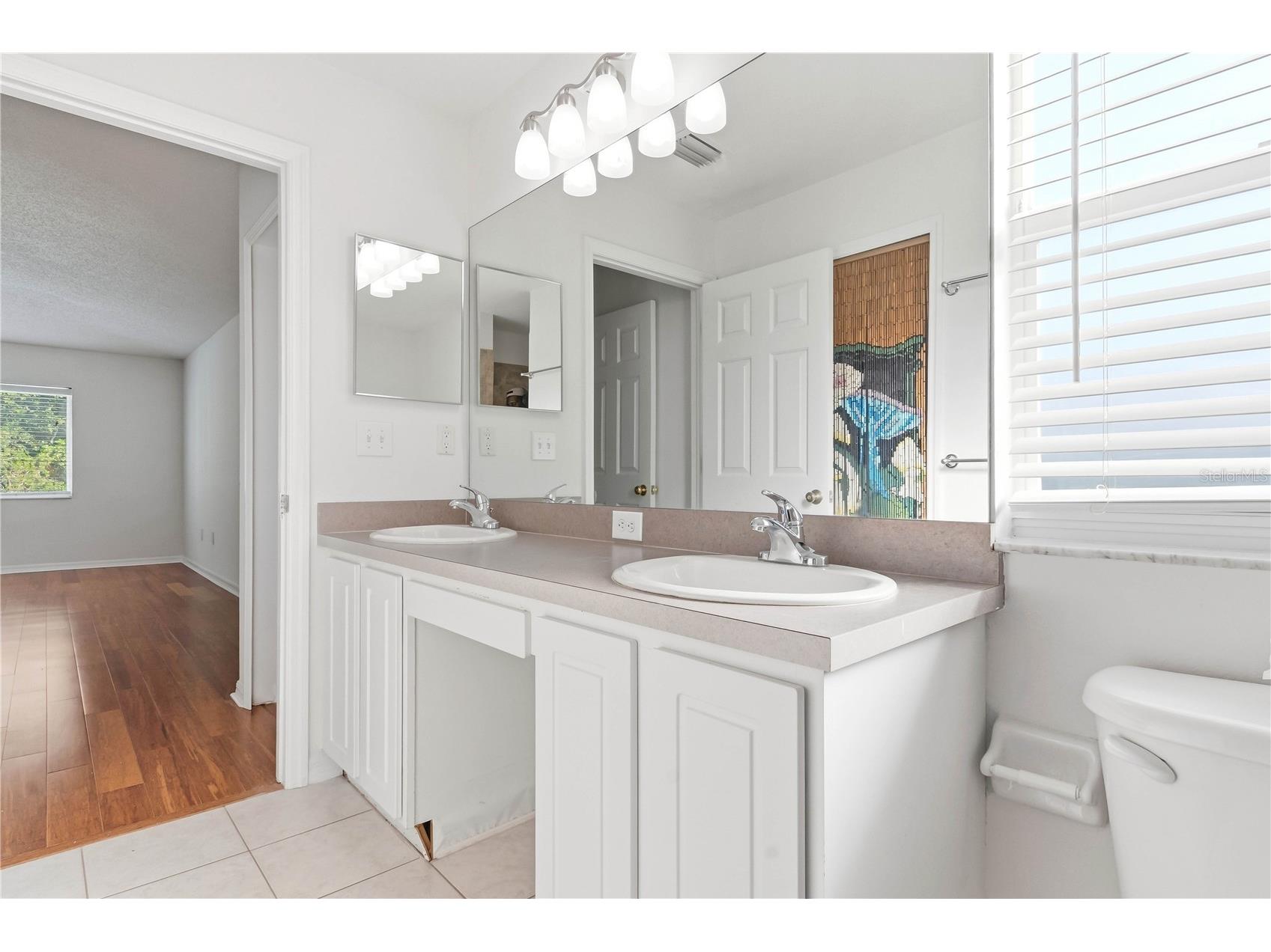 30830 Sade Court Wesley Chapel FL 33545 TB8527756 image17