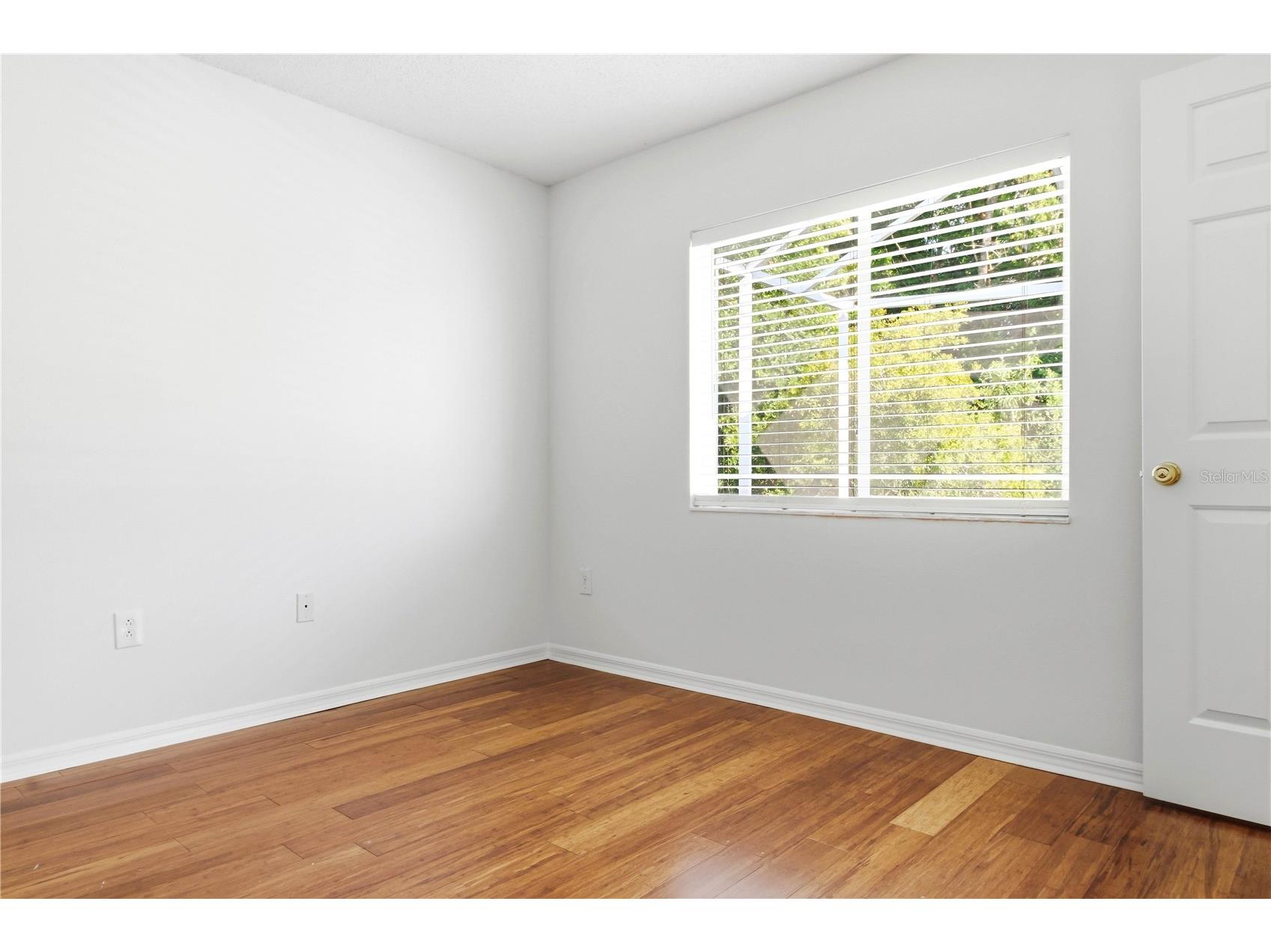 30830 Sade Court Wesley Chapel FL 33545 TB8527756 image19