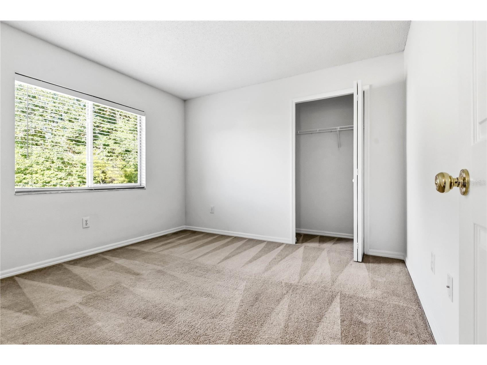 30830 Sade Court Wesley Chapel FL 33545 TB8527756 image21