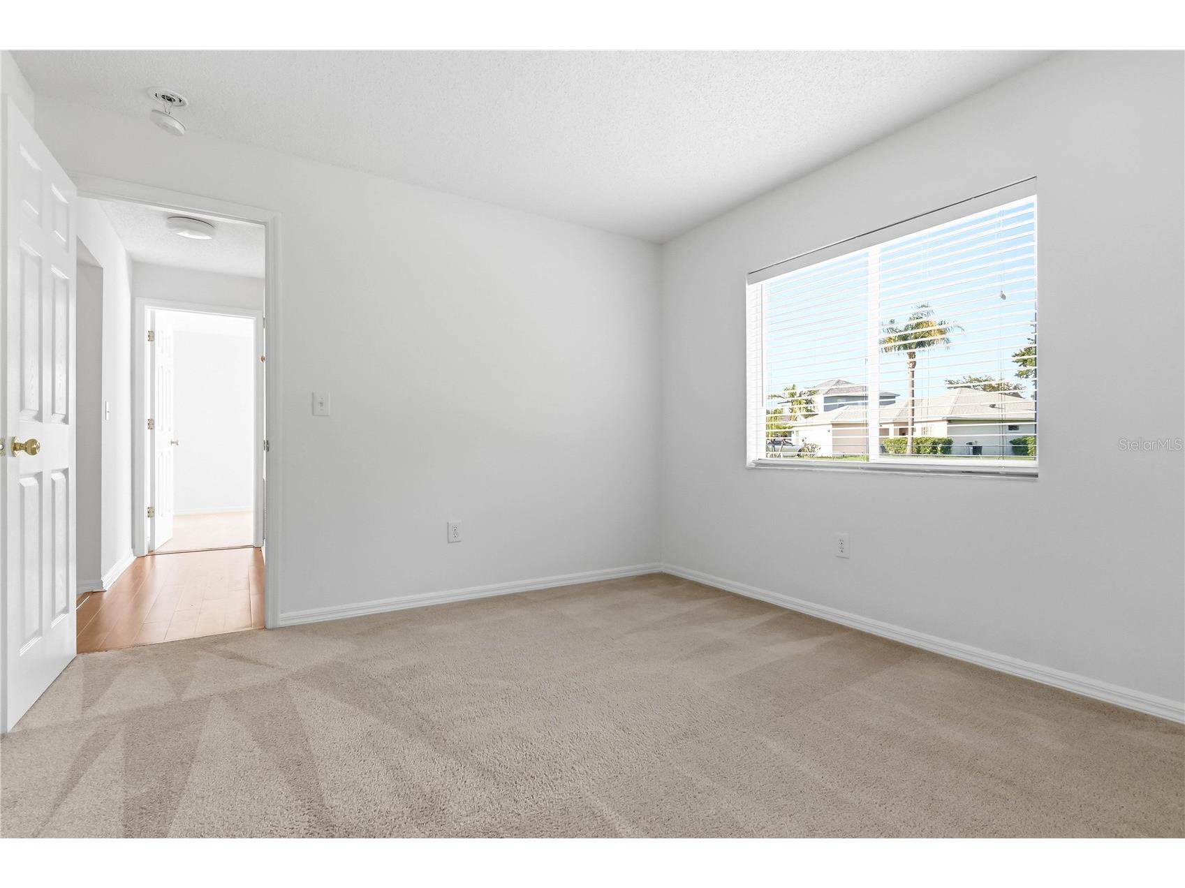 30830 Sade Court Wesley Chapel FL 33545 TB8527756 image23