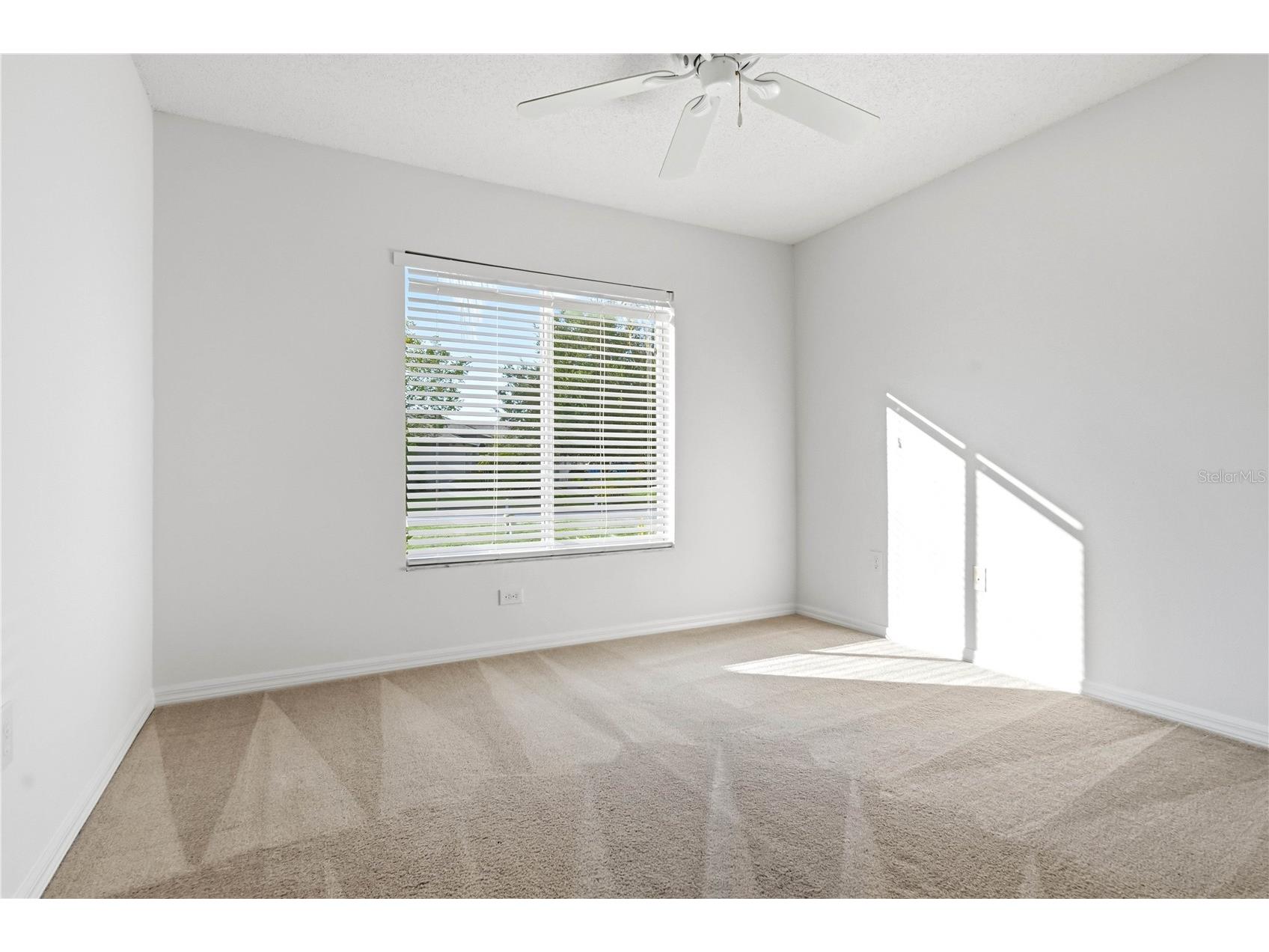 30830 Sade Court Wesley Chapel FL 33545 TB8527756 image26