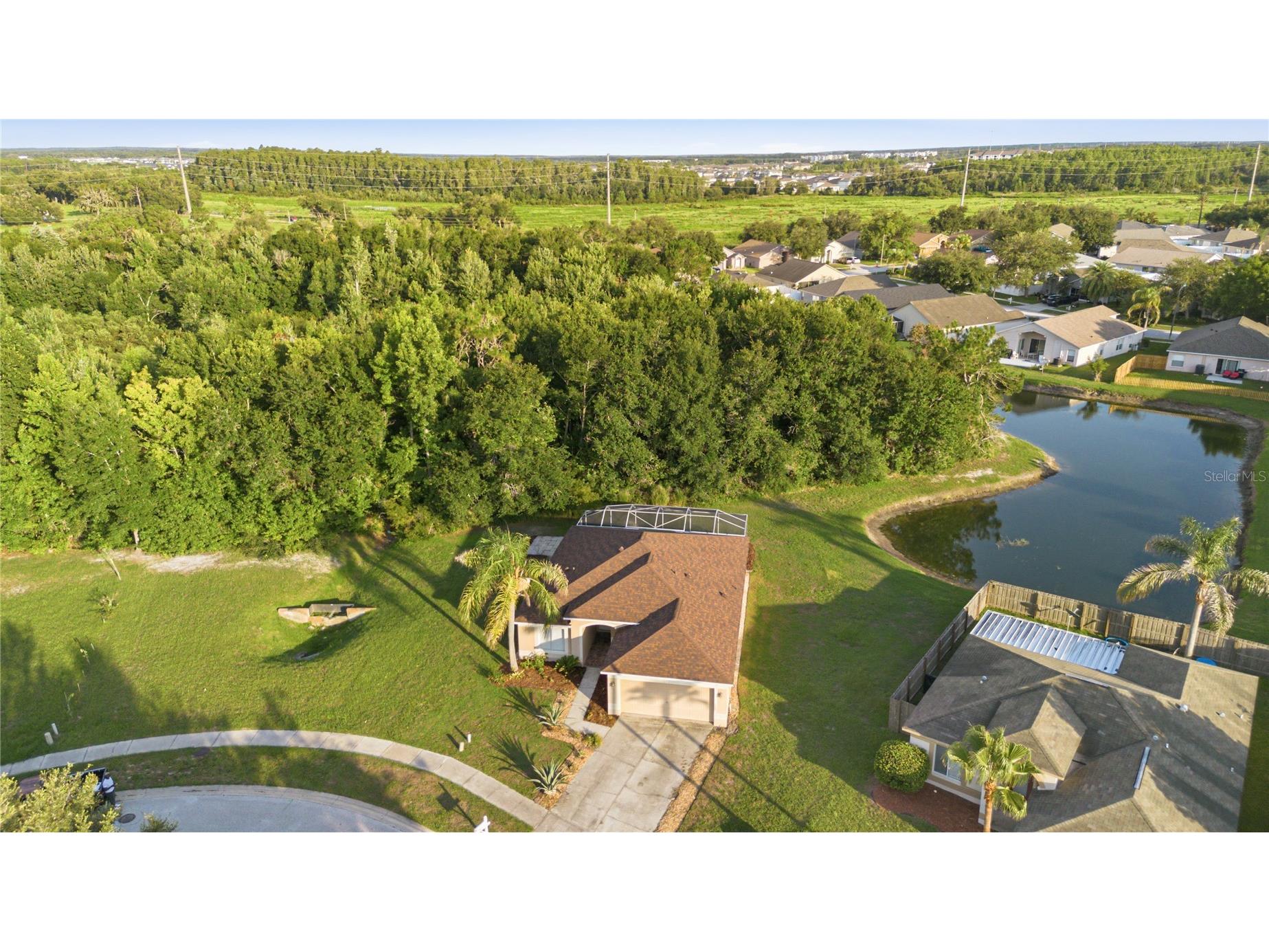 30830 Sade Court Wesley Chapel FL 33545 TB8527756 image32