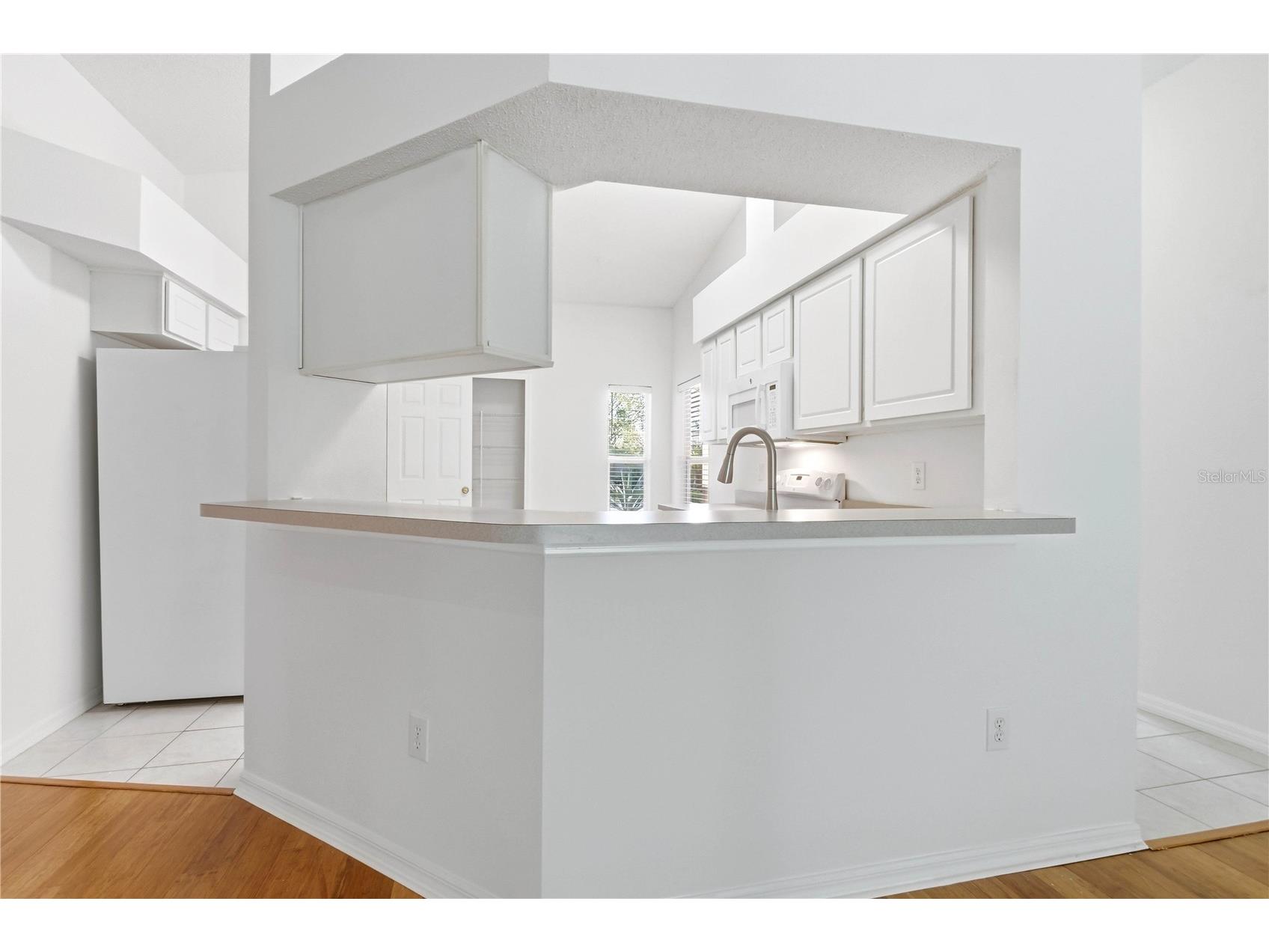 30830 Sade Court Wesley Chapel FL 33545 TB8527756 image6