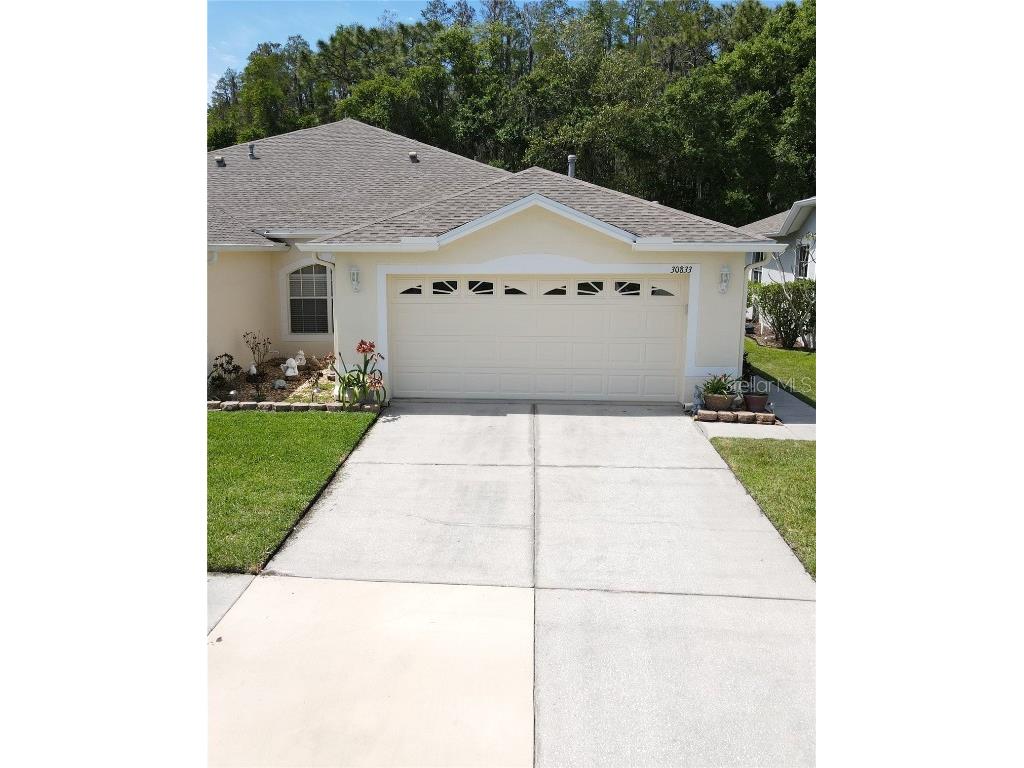30833 Whitlock Drive Wesley Chapel FL 33543 O6193920 image1