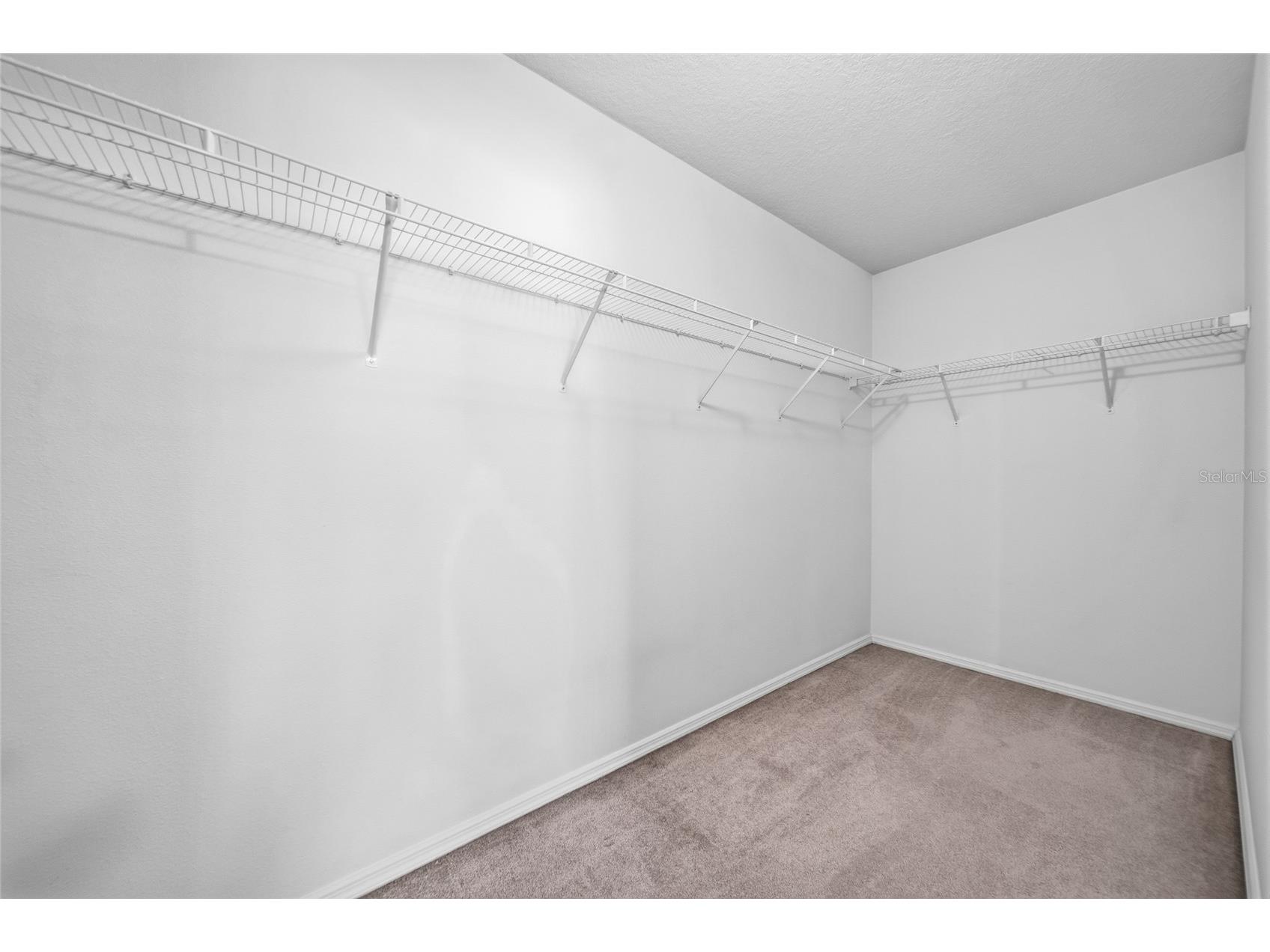 30837 Sonnet Glen Drive Wesley Chapel FL 33543 TB8525620 image17