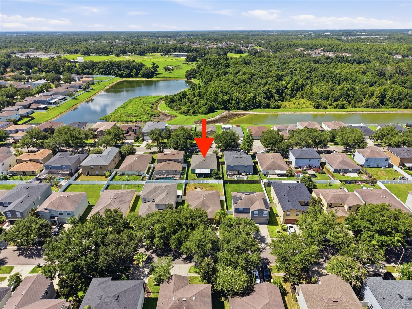 30837 Sonnet Glen Drive Wesley Chapel FL 33543 TB8525620 image36