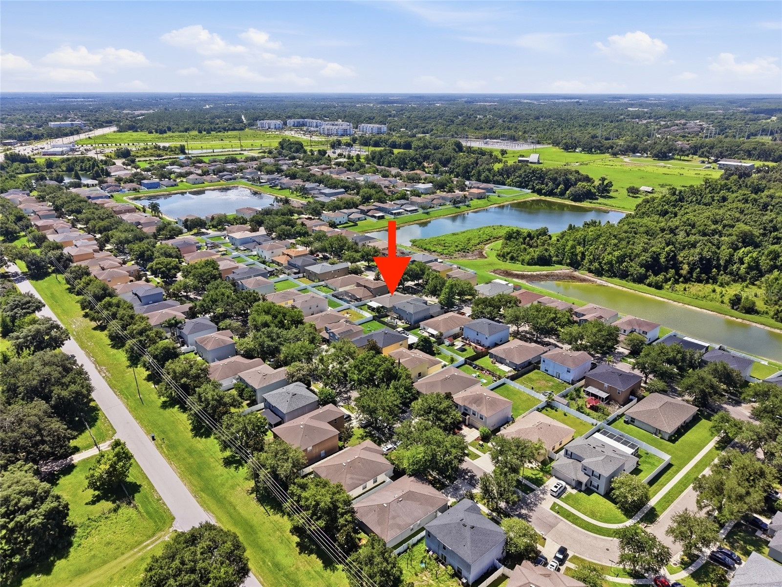 30837 Sonnet Glen Drive Wesley Chapel FL 33543 TB8525620 image37
