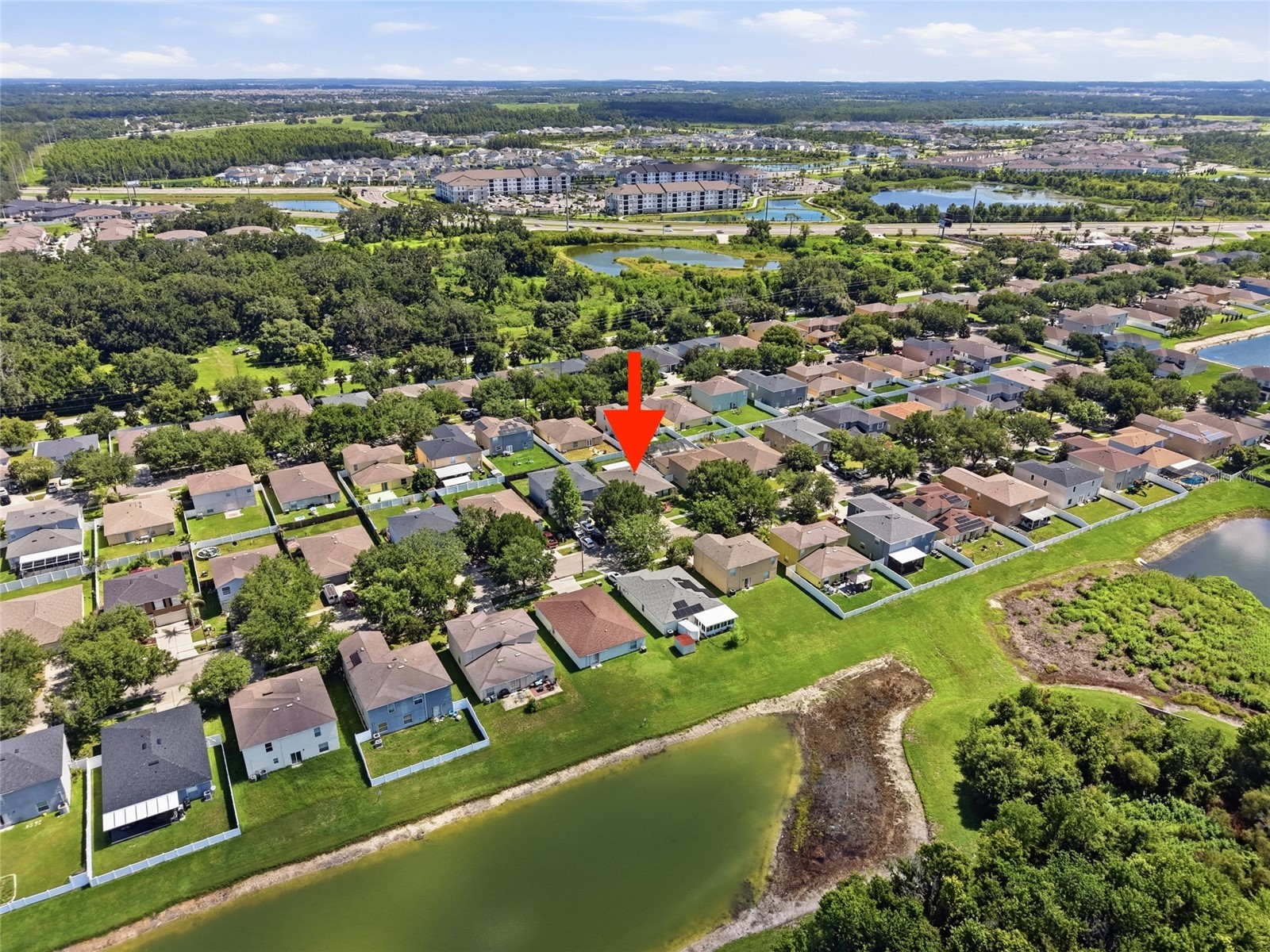 30837 Sonnet Glen Drive Wesley Chapel FL 33543 TB8525620 image38