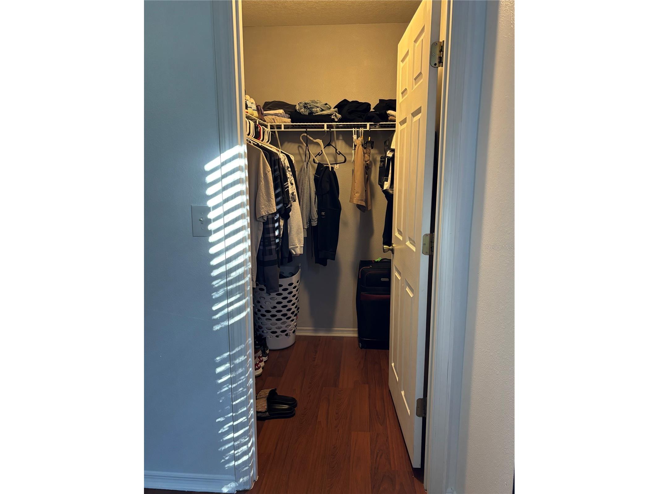 30837 Temple Stand Avenue Wesley Chapel FL 33543 TB8476894 image16