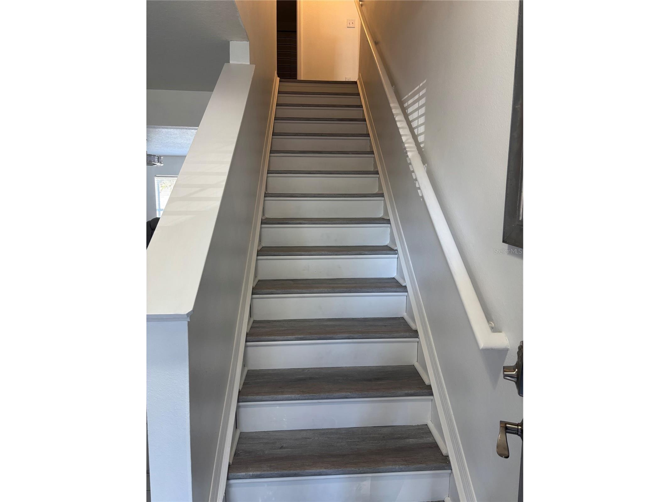 30837 Temple Stand Avenue Wesley Chapel FL 33543 TB8476894 image8