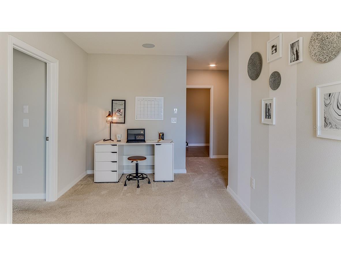 30838 Wild Juniper Court Brooksville FL 34602 OM708490 image8