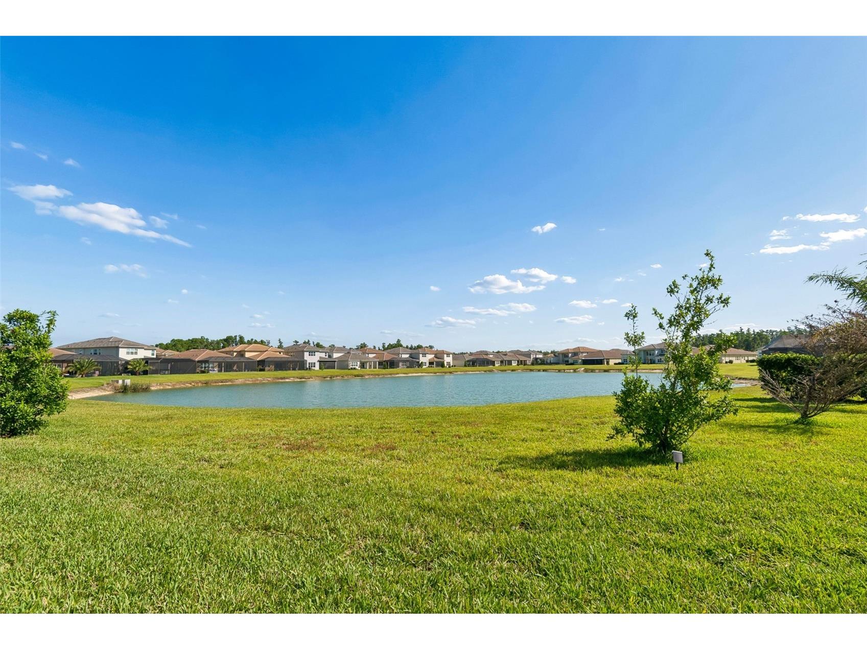 3084 Acacia Bay Avenue Wesley Chapel FL 33543 TB8425456 image55