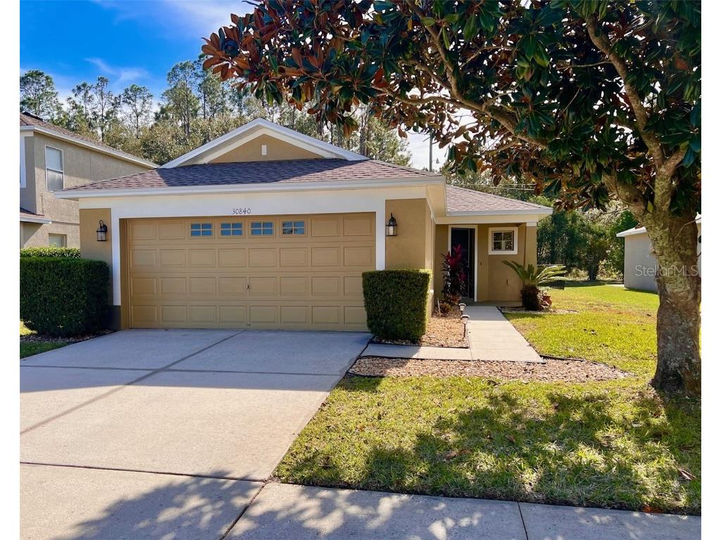 30840 White Bird Avenue Wesley Chapel FL 33543 T3481719 image1