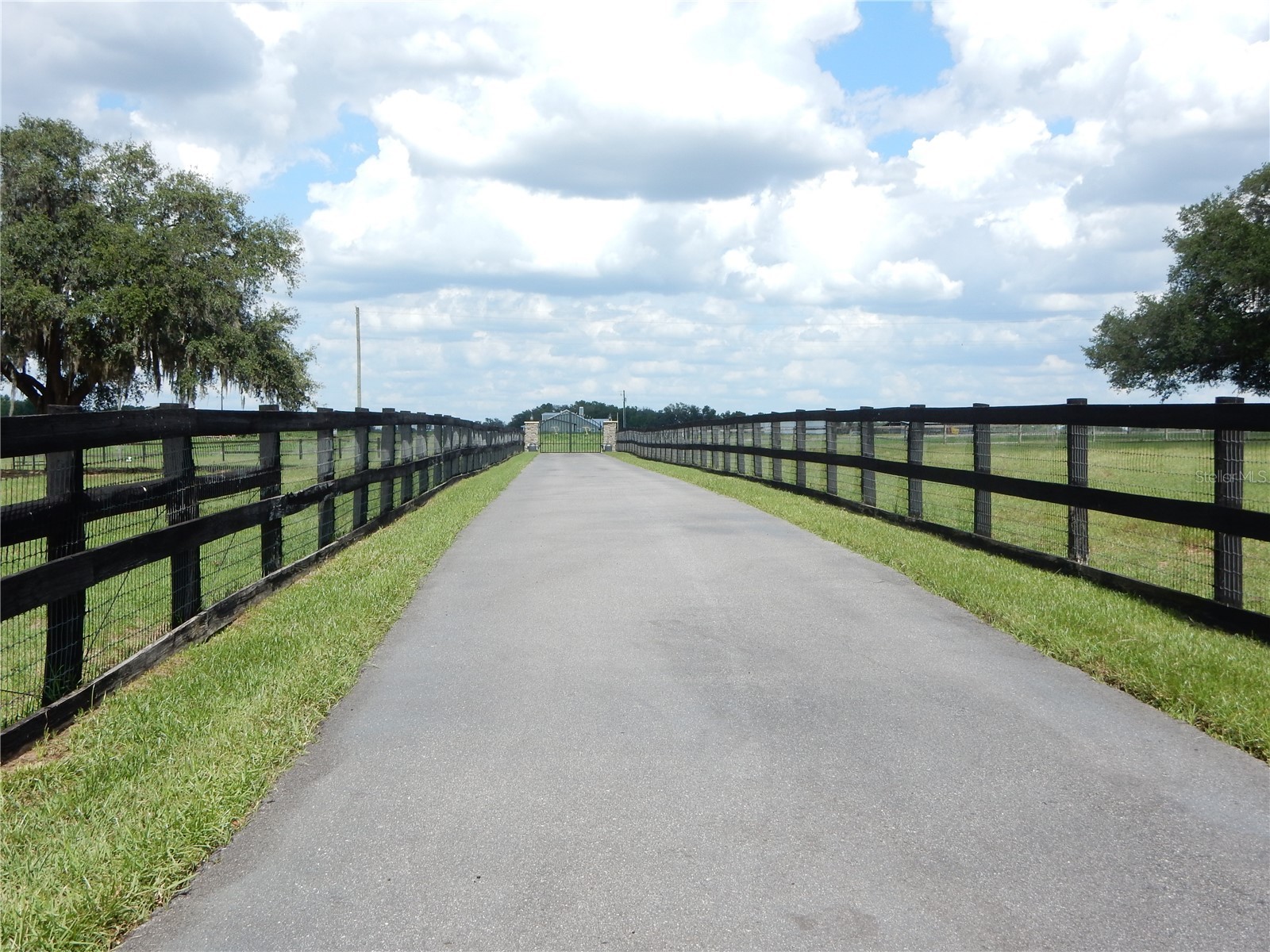 30841 Deer Run Dade City FL 33523 TB8511978 image3