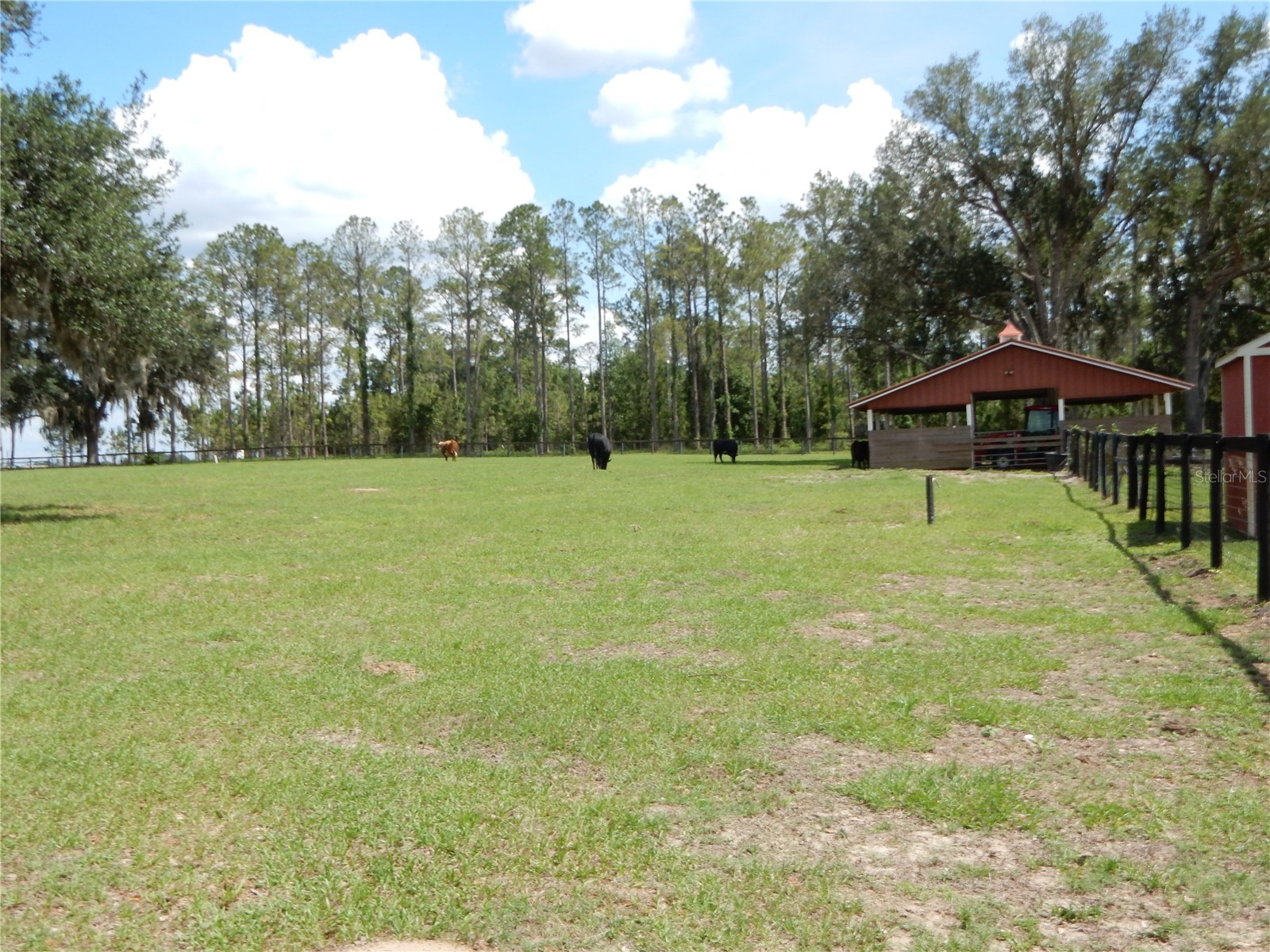 30841 Deer Run Dade City FL 33523 TB8511978 image4