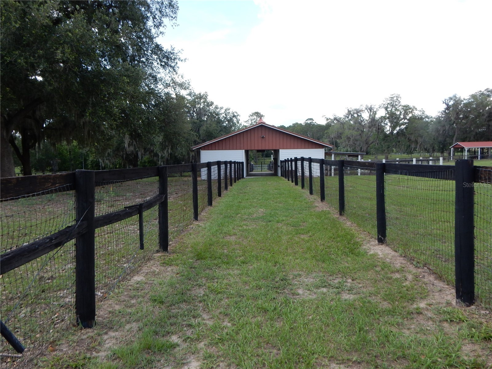 30841 Deer Run Dade City FL 33523 TB8511978 image5