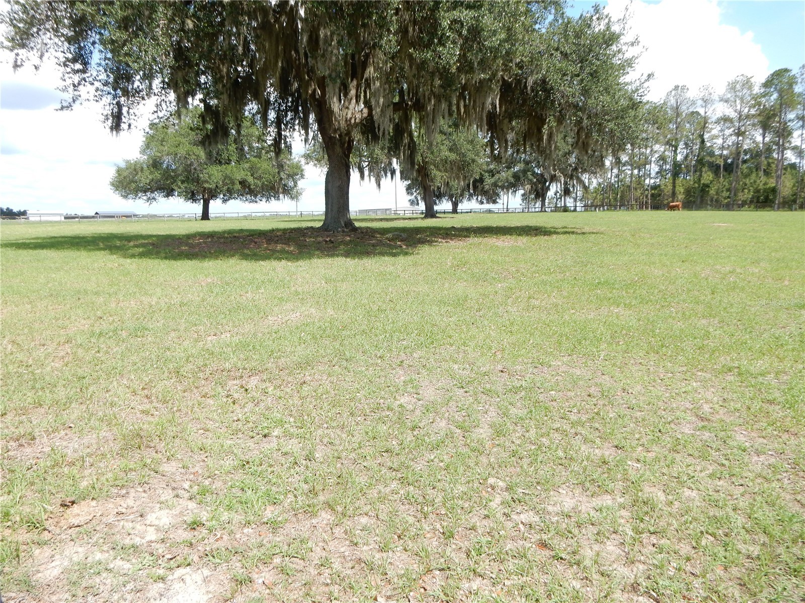 30841 Deer Run Dade City FL 33523 TB8511978 image7