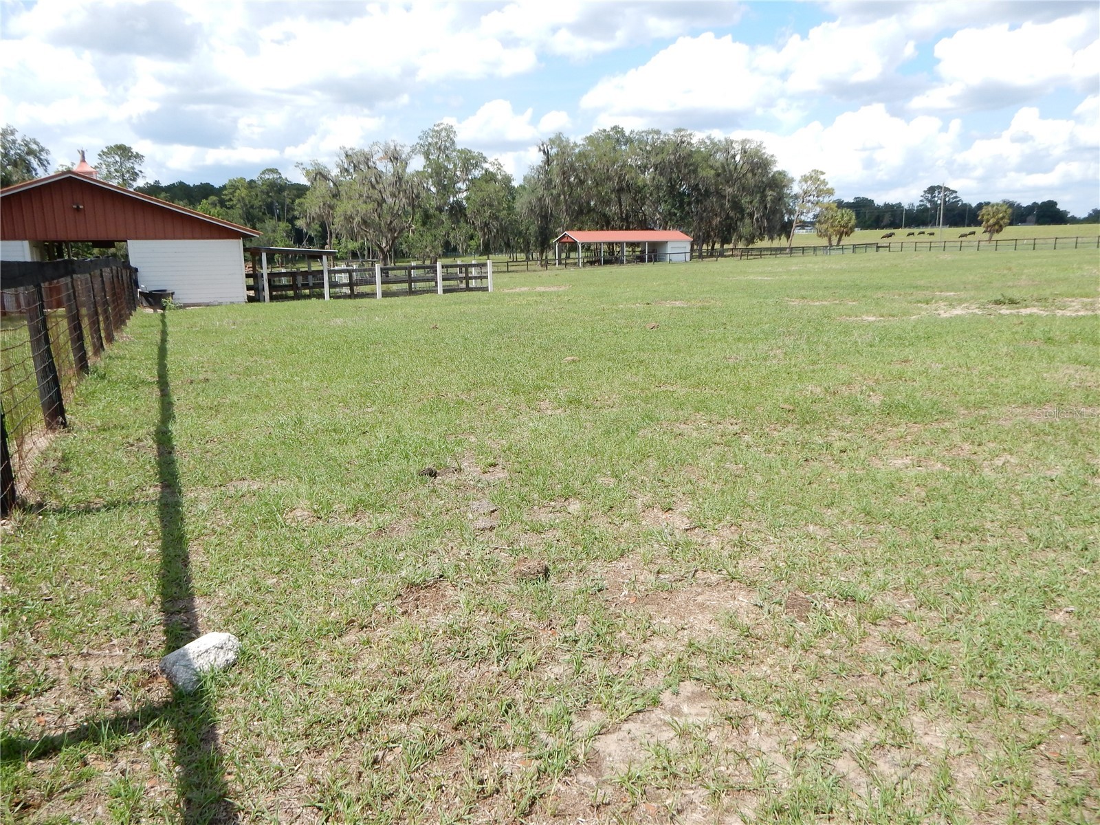 30841 Deer Run Dade City FL 33523 TB8511978 image8