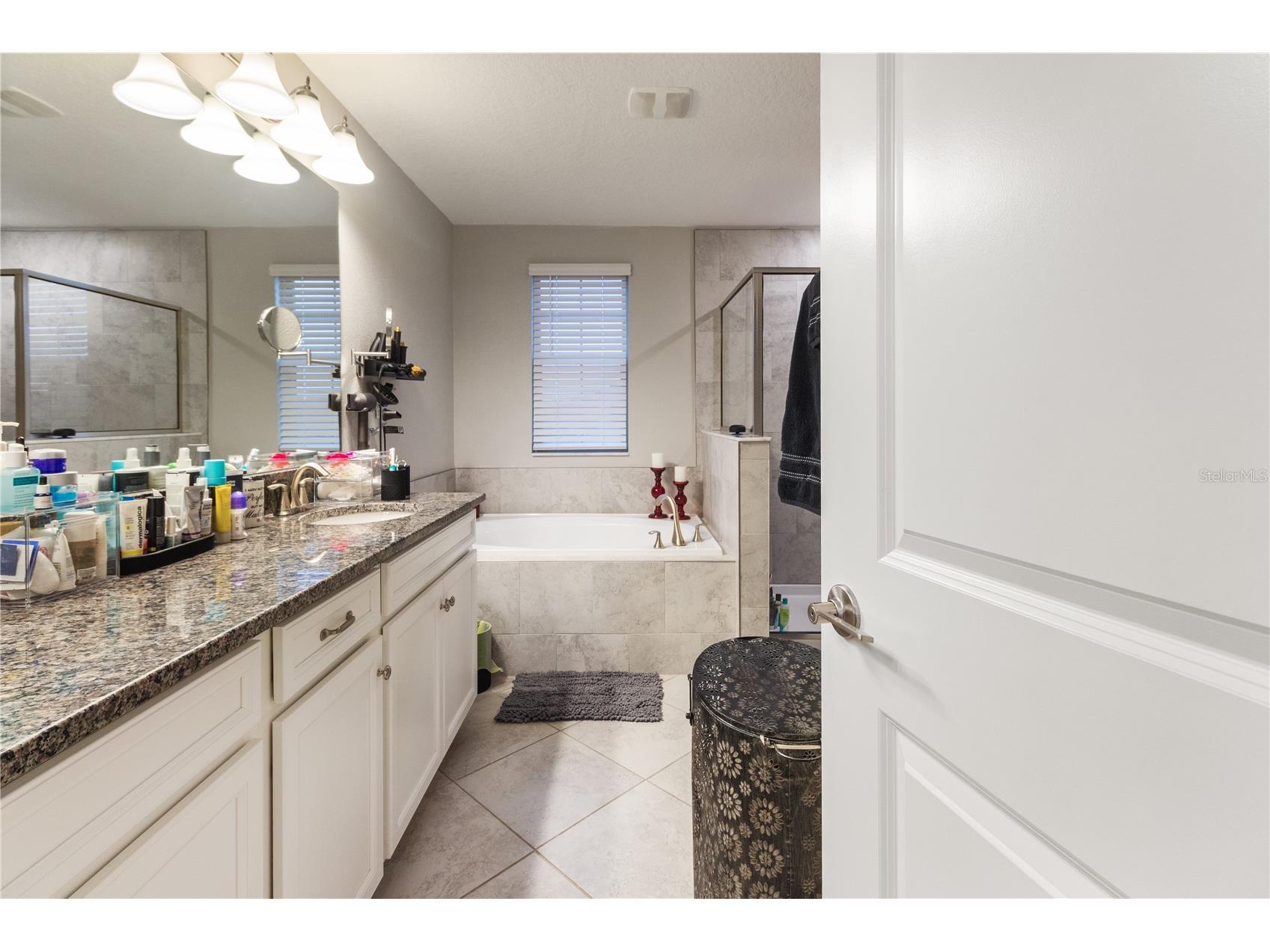 30841 Kelmin Terrace Wesley Chapel FL 33543 W7886276 image36
