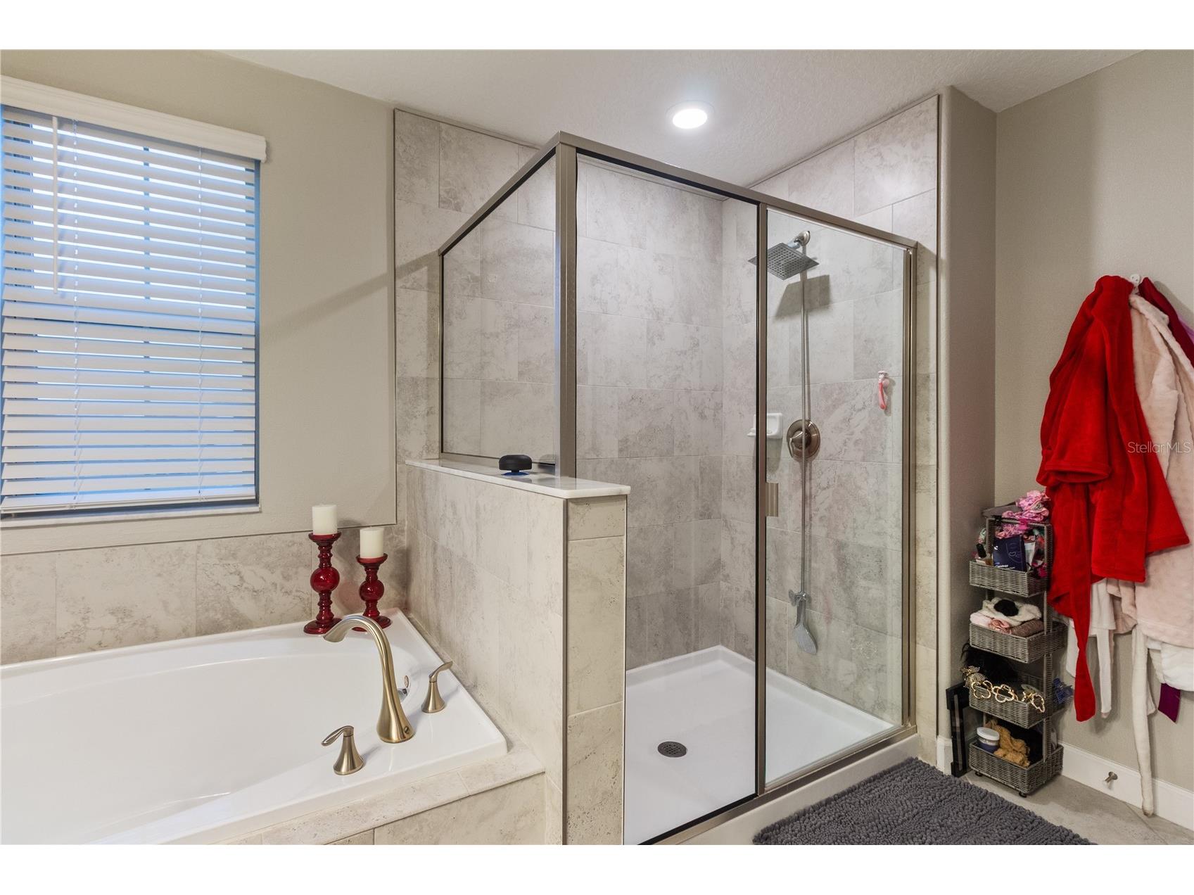 30841 Kelmin Terrace Wesley Chapel FL 33543 W7886276 image37