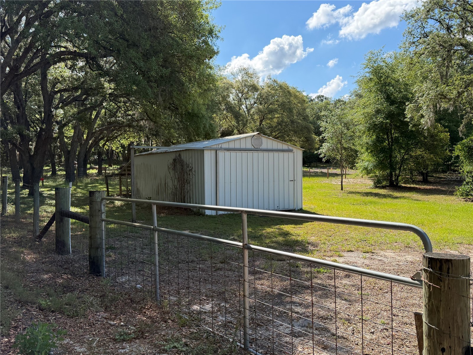 30842 Round Lake Road Mount Dora FL 32757 G5113029 image8