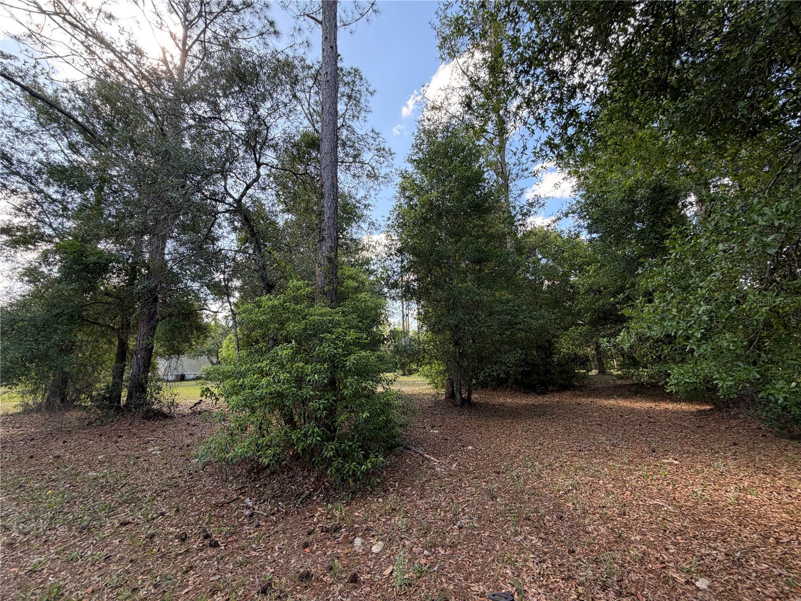 30842 Round Lake Road Mount Dora FL 32757 G5113029 image9